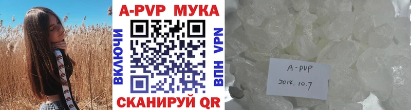 кракен как войти  Ардон  A PVP мука 