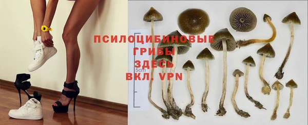 spice Пролетарск