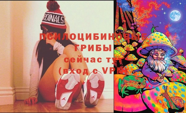 ПСИЛОЦИБИНОВЫЕ ГРИБЫ Нижневартовск
